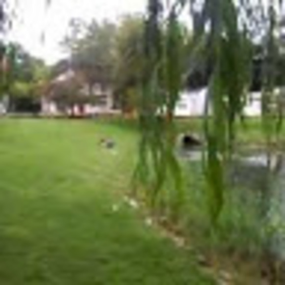 Meet your Posher, Liz - Picture 1 of 1